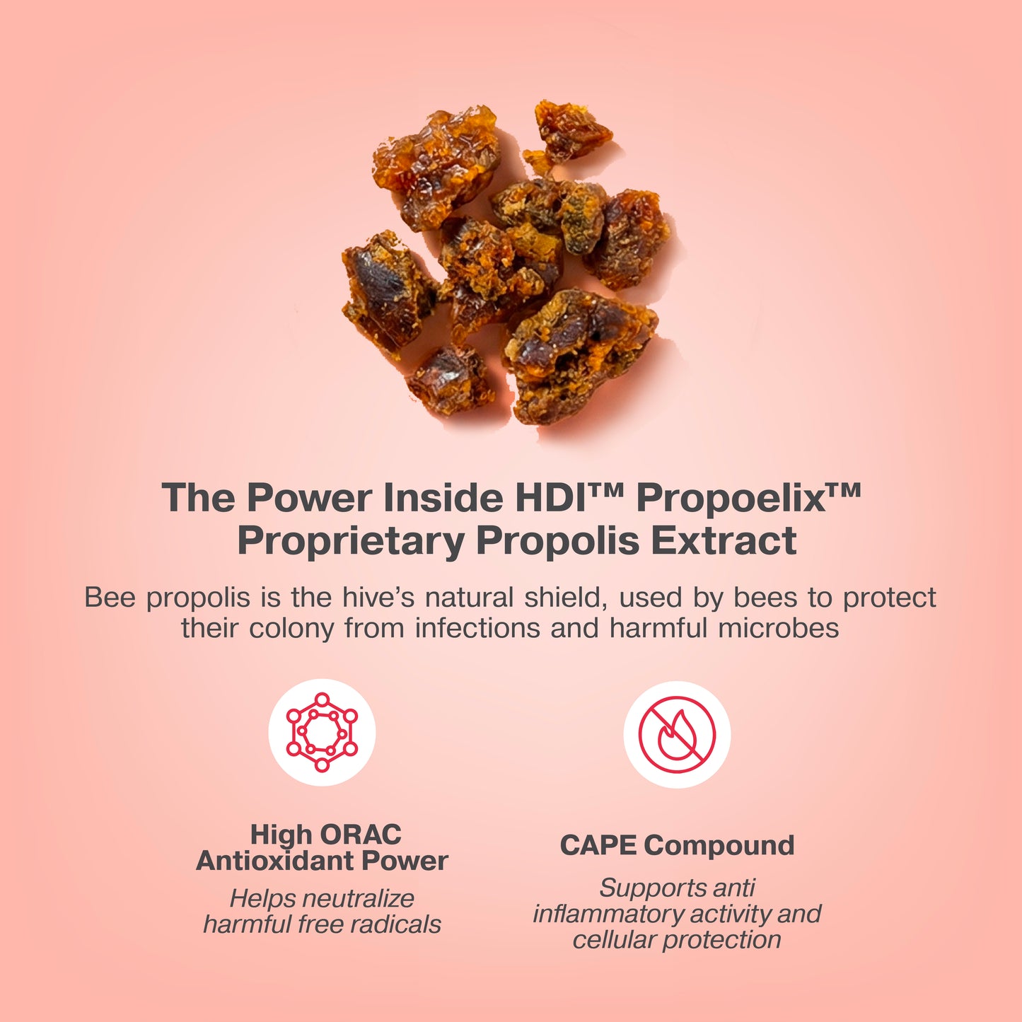 The power inside HDI Propoelix: raw bee propolis, the hive’s natural shield. High-potency antioxidant extract proven to neutralize free radicals and provide cellular protection against infections.