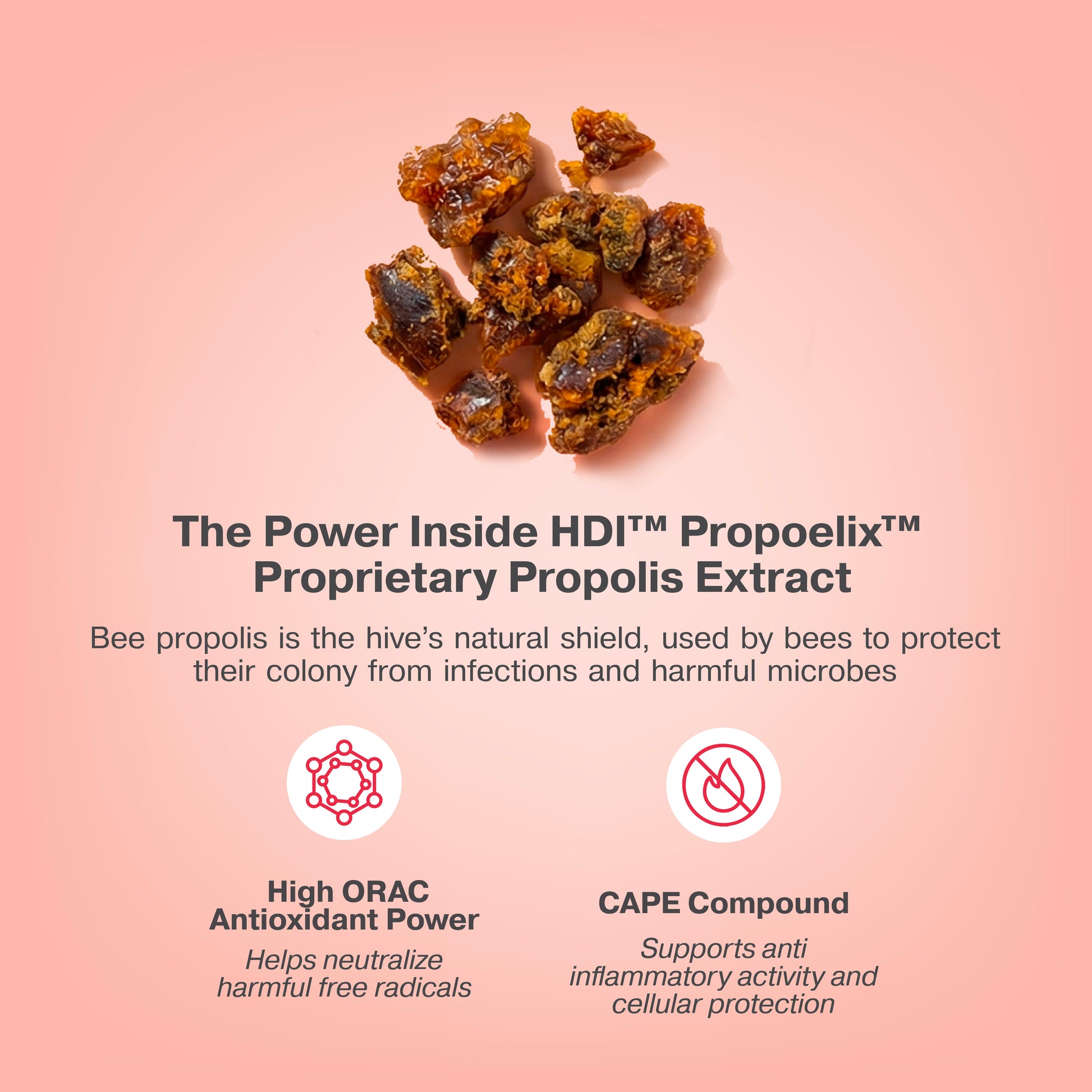 The power inside HDI Propoelix: raw bee propolis, the hive’s natural shield. High-potency antioxidant extract proven to neutralize free radicals and provide cellular protection against infections.