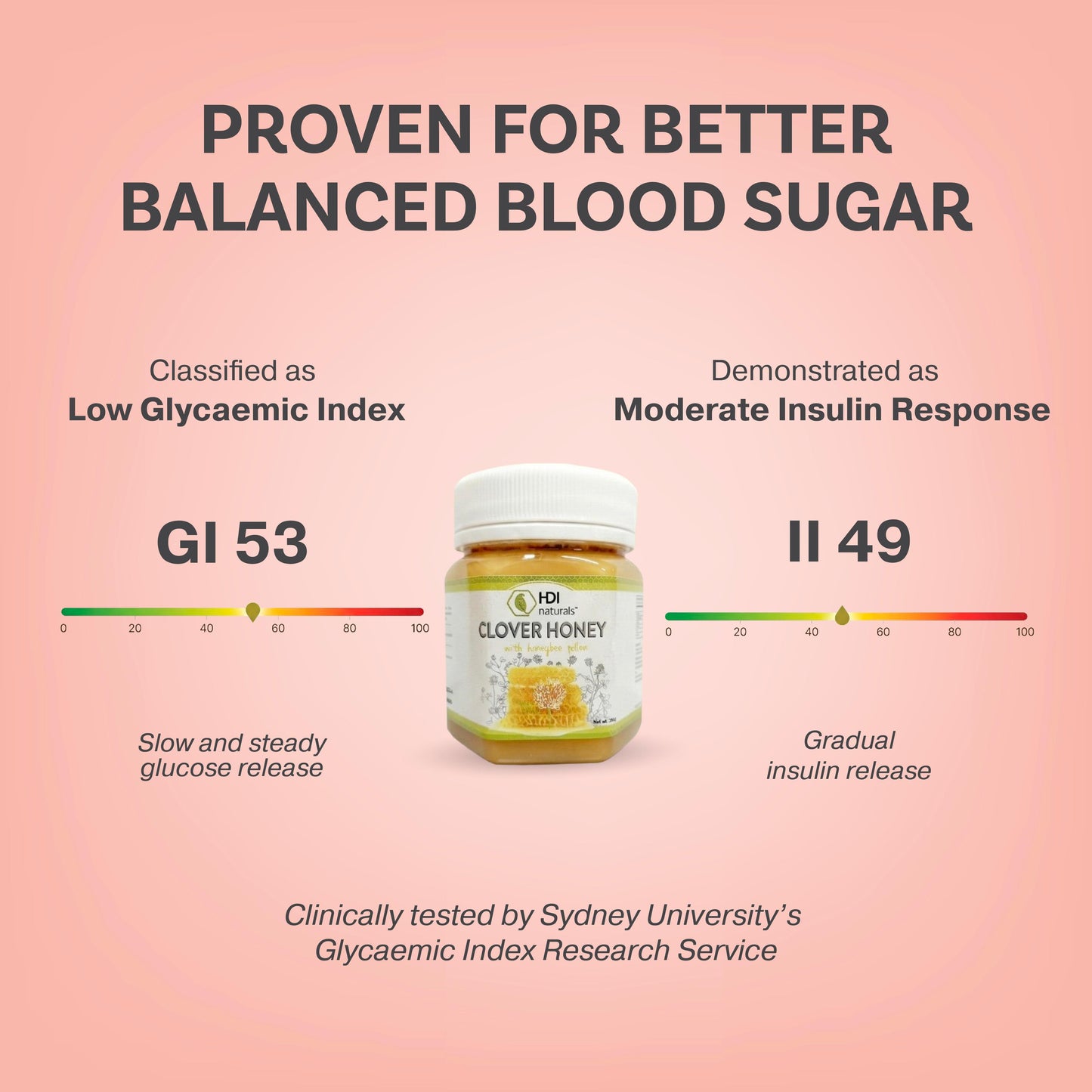 Clinical study results for HDI Clover Honey by Sydney University’s Glycaemic Index Research Service. Classified as Low GI 53 with a moderate insulin response (II 49) for slow, steady glucose release.