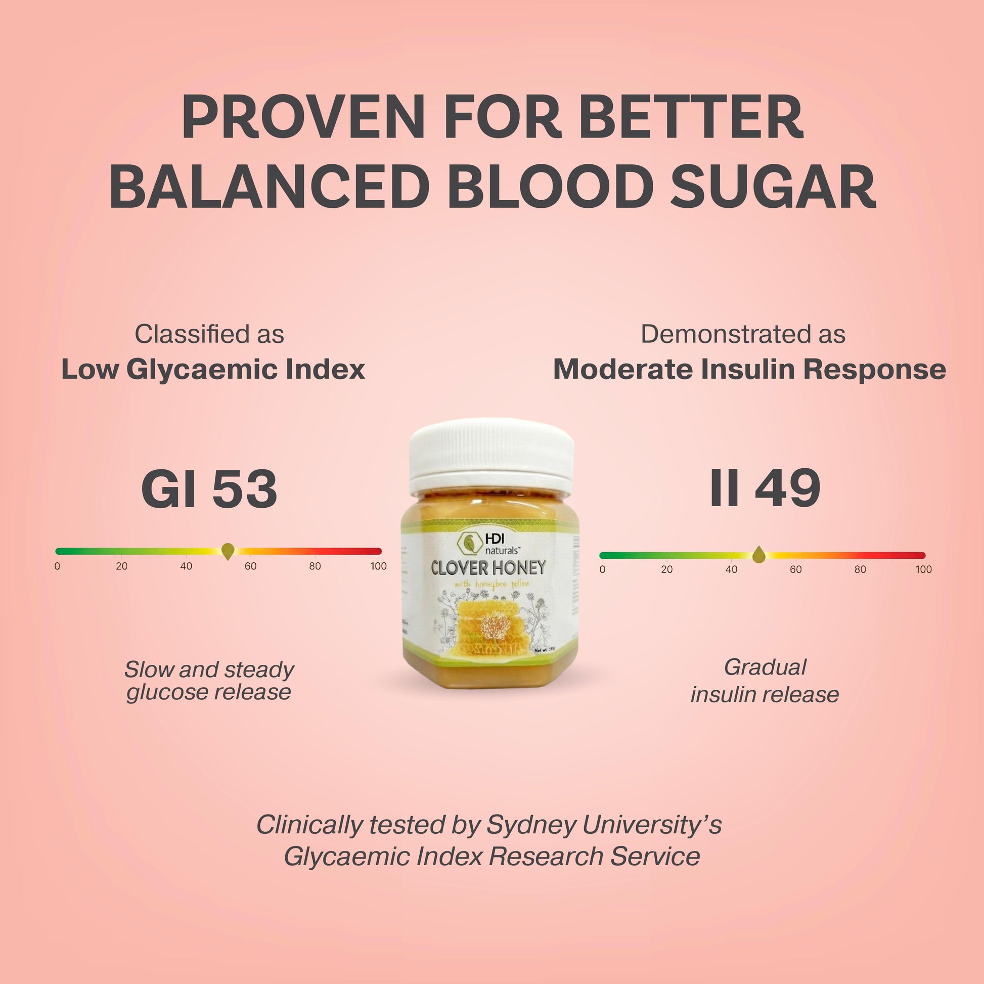 Clinical study results for HDI Clover Honey by Sydney University’s Glycaemic Index Research Service. Classified as Low GI 53 with a moderate insulin response (II 49) for slow, steady glucose release.