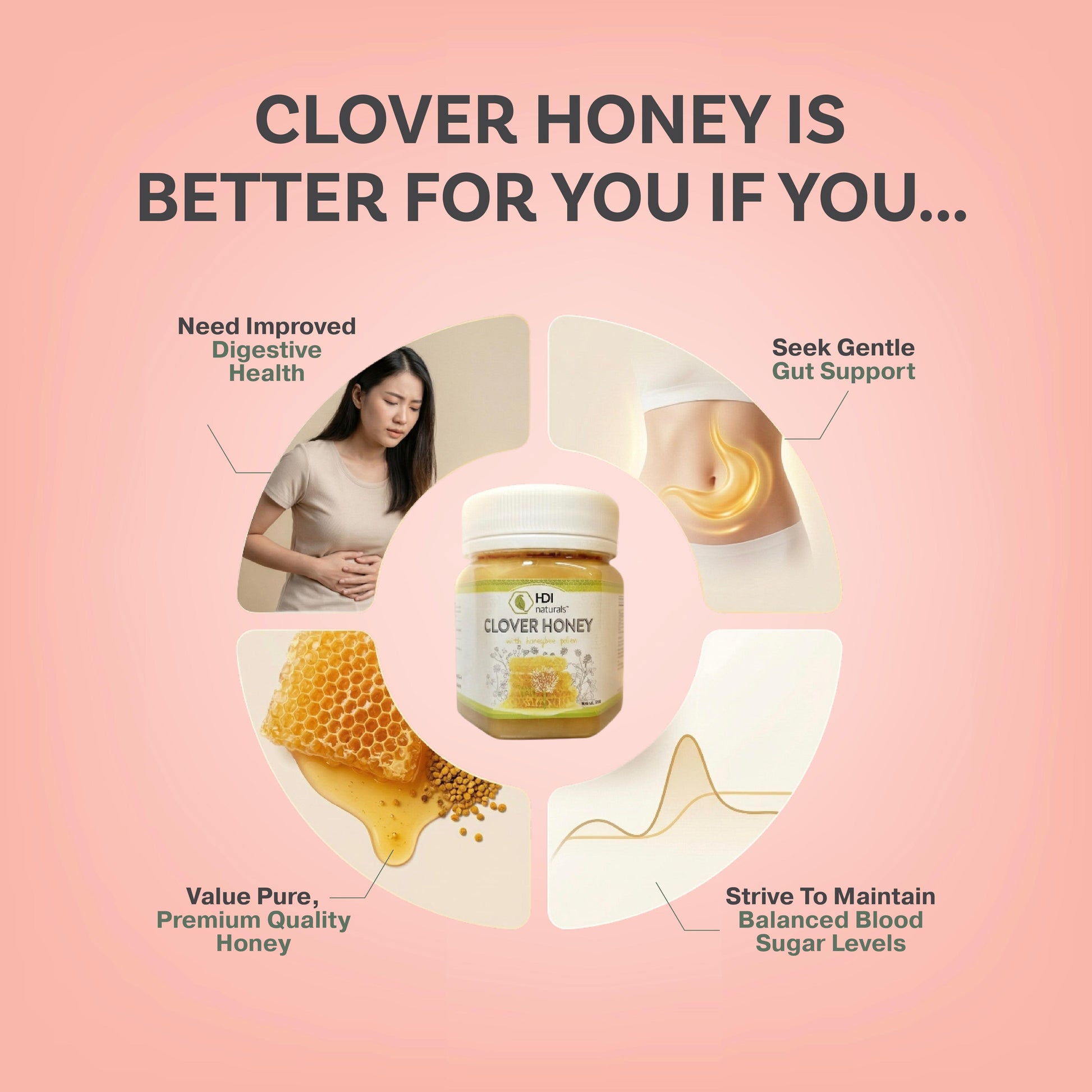 HDI Clover Honey is for: Individuals needing improved digestive health, those seeking gentle gut support, people striving to maintain balanced blood sugar, and those who value pure, premium quality honey.